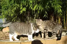 DSC02109.webp