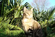 DSC02058.webp
