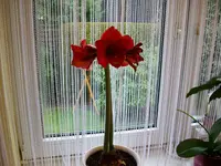 Haus und Garten 001.webp