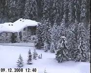 Waldhotel3.webp