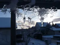 P1000820.webp