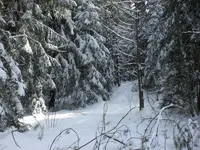 Oberweißb.6.webp