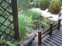 Photo0002.webp