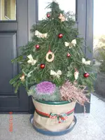 CIMG0200.webp