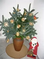 winterbilder 003.webp
