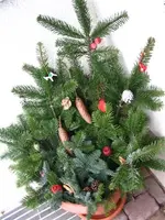 winterbilder 005.webp