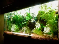 Foto-0010.webp