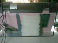 Photo0005.webp