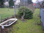 Garten Dezember 004.jpg