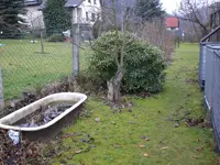 Garten Dezember 004.webp
