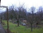 Garten Dezember 006.jpg