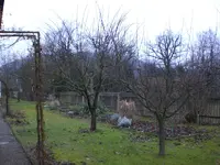 Garten Dezember 006.webp