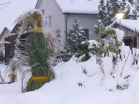 P1000920.webp