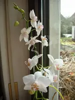 k-DSCI0256.webp