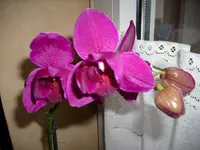 k-DSCI0267.webp