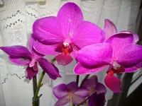 k-DSCI0329.webp