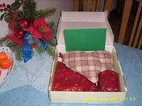 21.webp