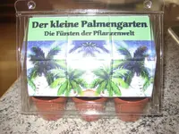 Palmengarten-1.webp