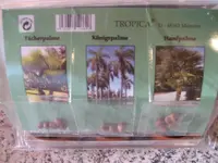 Palmengarten-2.webp