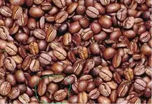 beans.webp
