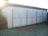 Kletter-Trompete an Garage_klein.webp