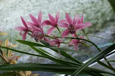 DSC00020_1.webp