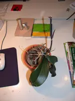 Kopie von DSCN5325.webp