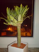 DSC00120.webp