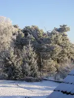 Bild 1 - 3.Januar.webp