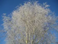 Bild 3- 3.Januar.webp