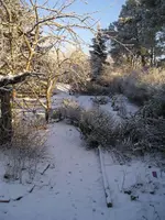 Bild 4 - 3.Januar.webp