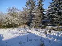 Bild 5 - 3.Januar.webp