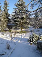 Bild 7 - 3.Januar.webp
