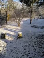 Bild 9 - 3.Januar.webp