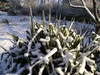 Bild 10 - 3.Januar.webp