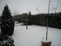 DSCN0151.webp