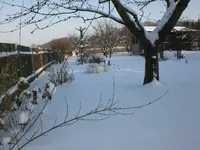 Garten Januar 2009 030.webp