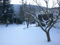 Garten Januar 2009 033.webp