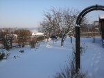 Garten Januar 2009 035.jpg