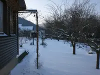 Garten Januar 2009 037.webp
