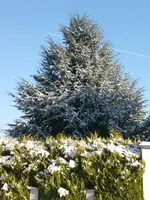 CIMG3199.webp