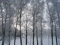 Weihnachten 2010.webp