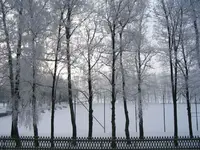 Weihnachten 2012.webp