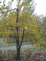Bild 311.webp