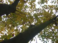 Bild 313.webp