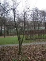Bild 331.webp