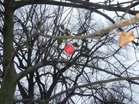 Bild 333.webp