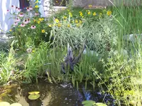 100_8402klei.webp
