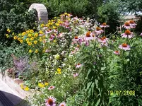 100_8407klein.webp