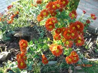 CIMG0131kleiner.webp